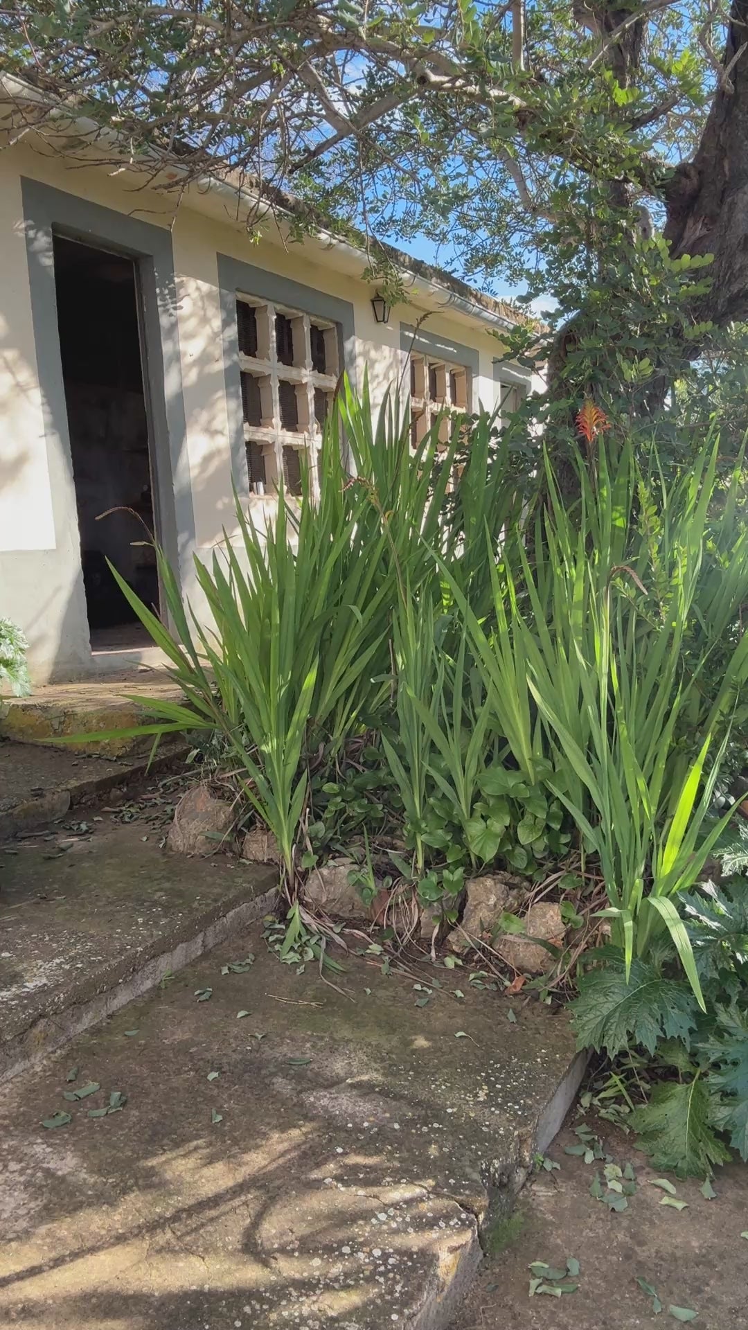 Video laden: Blouse - Karen